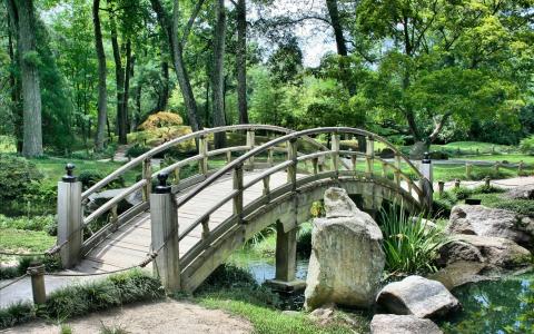 A beautiful arched wooden bridge over a small stream