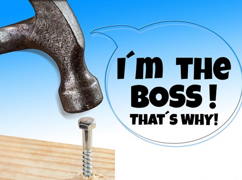 Hammer coming down on a nail with statement "I'm the boss"